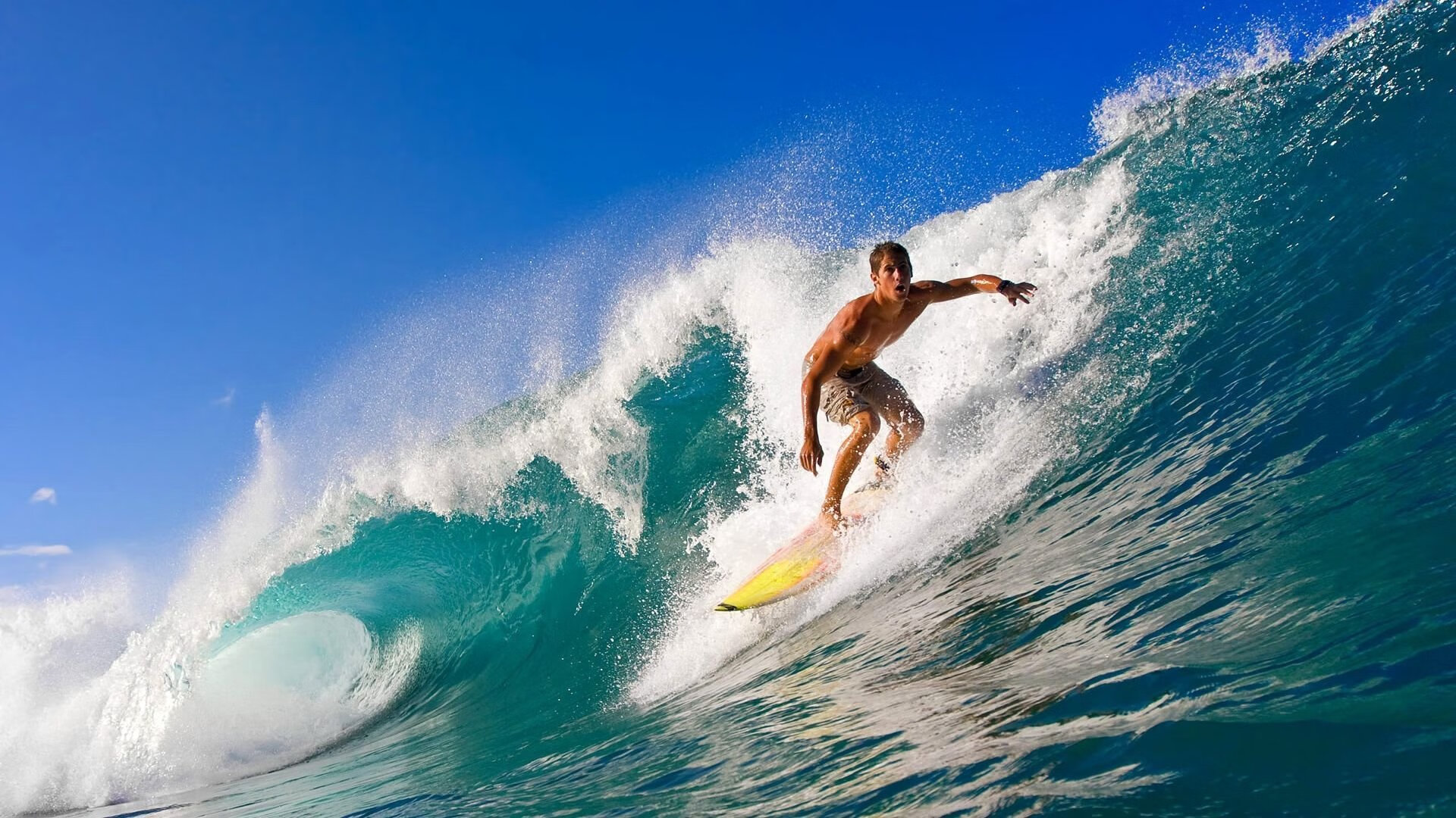 潜力黑马：一批“黑马”新星大揭秘，未来可期，黑马潜力股是什么意思